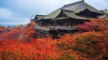 観光スポット / 3