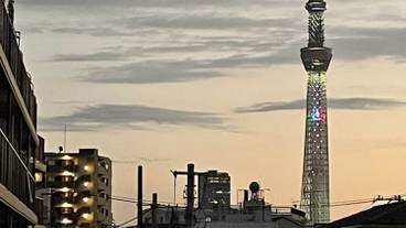 部屋からの景観 / 19