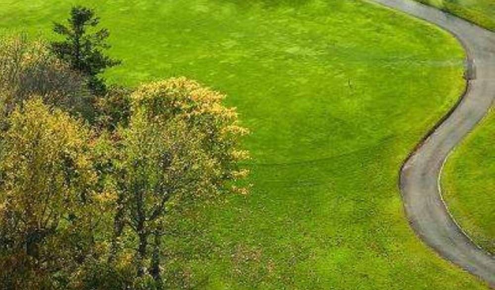 テニスコート / 2