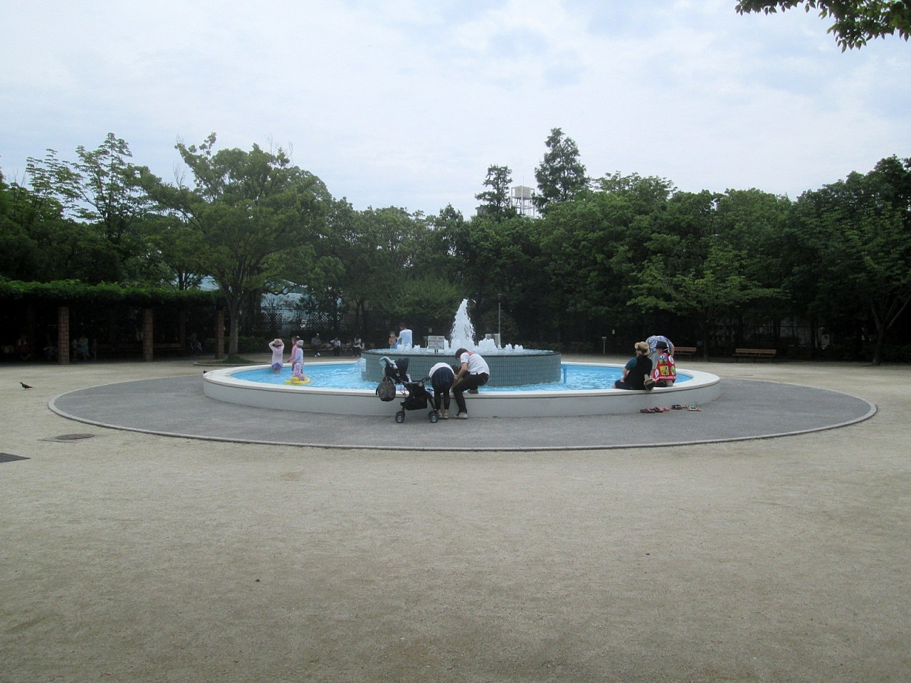 公園の中に動物園が！たくさん動物と触れ合いましょう3015346