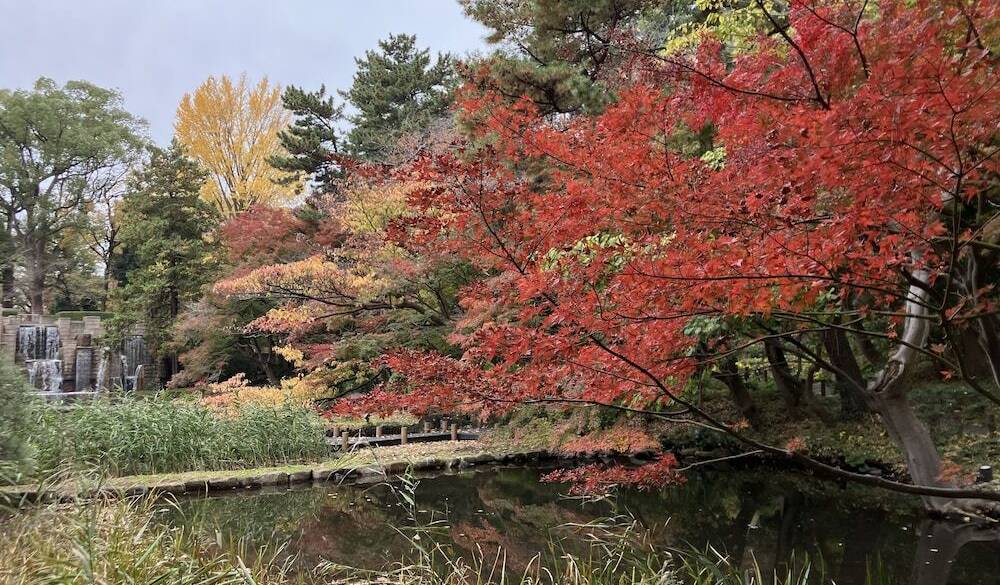 「御殿山庭園」で
心地よい散歩を / 4