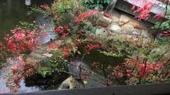 宮浜温泉 旅館 かんざき