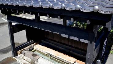 レストラン / 13