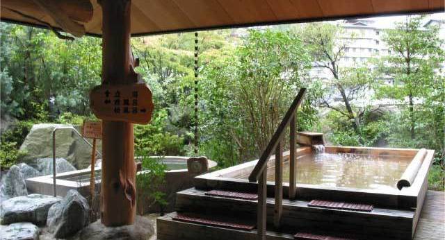 昼神温泉 湯多利の里 伊那華（長野県 旅館） / 1