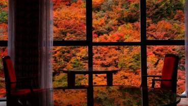 施設からの眺望 / 28