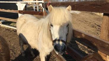 施設の敷地 / 10