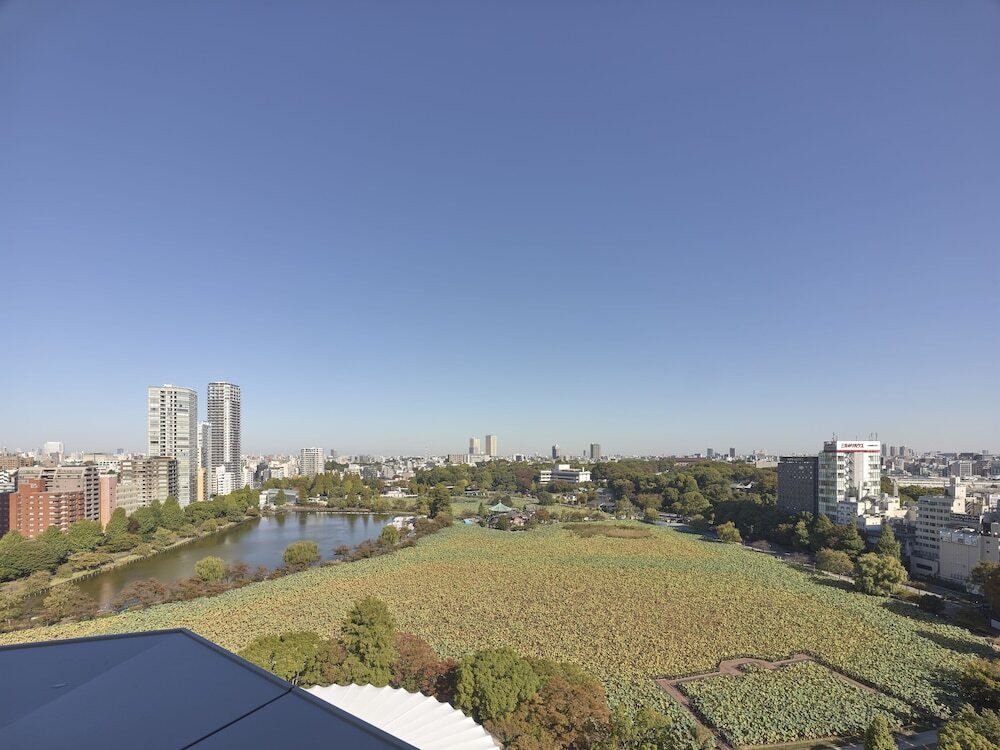 施設からの眺望