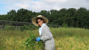 施設の敷地 / 22