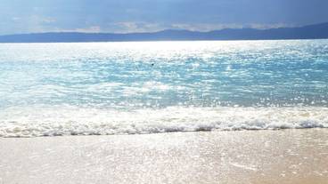 観光スポット / 1