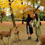 奈良女子旅の拠点に♪「奈良公園」周辺のおすすめホテル6選