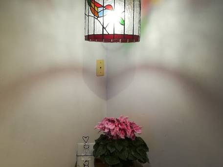 フジオペンション / 2