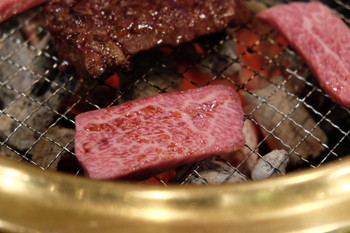 幅広い年代から人気の高円寺で絶品焼肉を食べる！735132