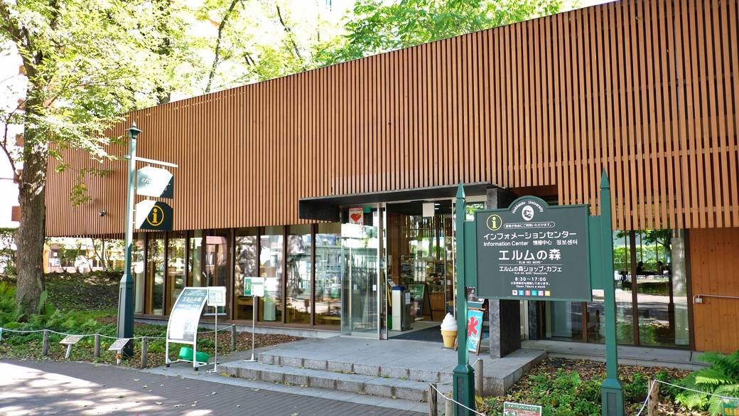 北海道大学 エルムの森 / 1