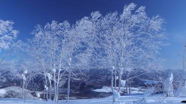 スノー スポーツとスキー / 6