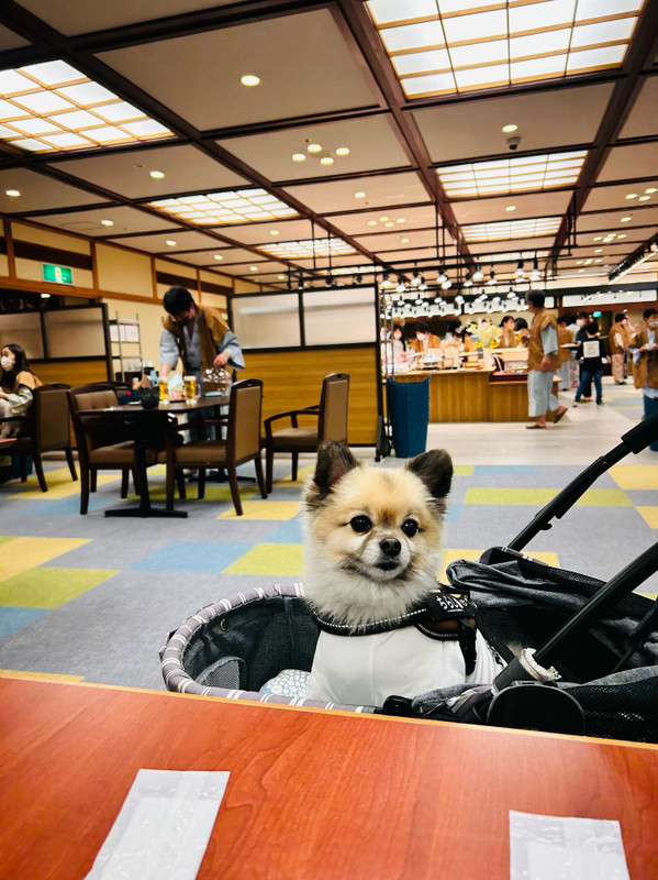 k_chirashi_さんの写真 / 2