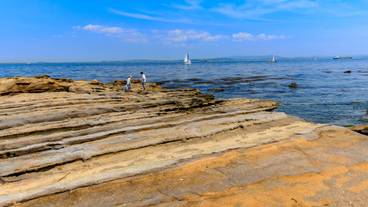 観音崎公園② / 2