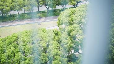 部屋からの景観 / 9