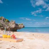 レジーナ石垣（沖縄県 別荘・ヴィラ・コンドミニアム） / 2