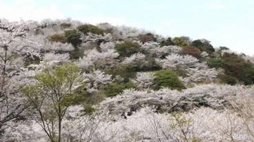 施設からの眺望 / 20