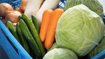 朝食ビュッフェ / 13