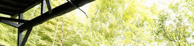 【関東】温泉旅で両親に親孝行。おもてなし抜群のおすすめ旅館＆ホテル16選