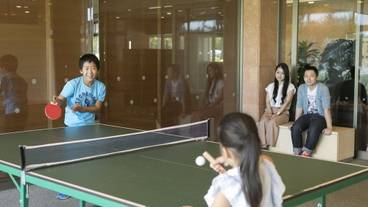 スポーツ設備 / 4