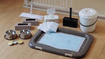 客室の設備とサービス / 24