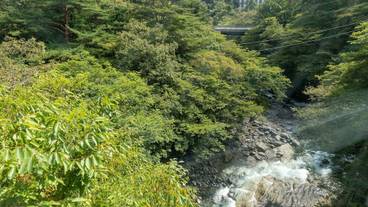 部屋からの景観 / 39