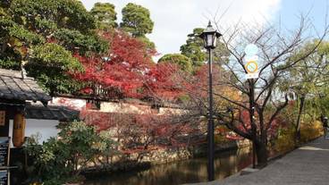 ランド ビュー / 20