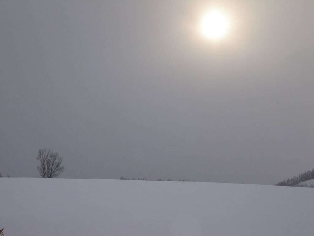 マウンテン ビュー