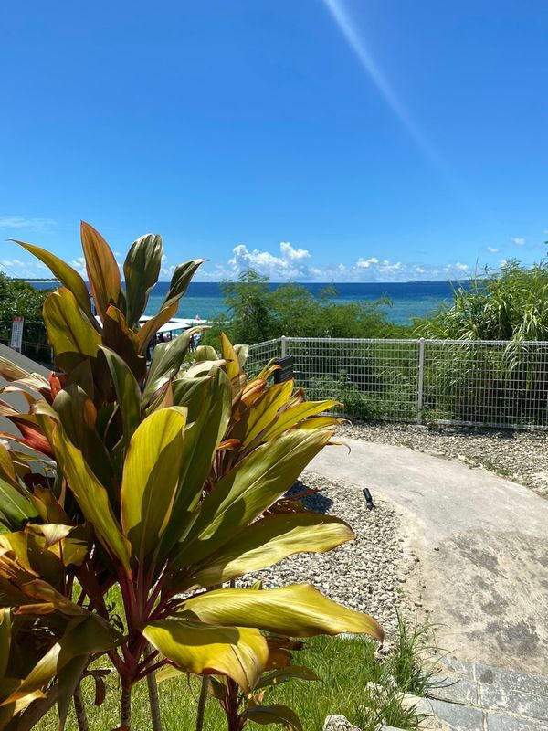 yoocoo_oさんの写真 / 6