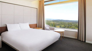 デラックスキングルーム