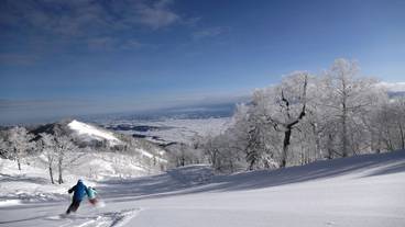 マウンテン ビュー / 10