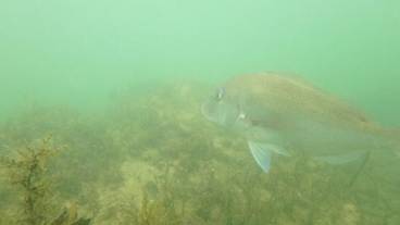 エコツアー / 13