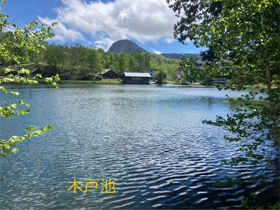 木戸池②
