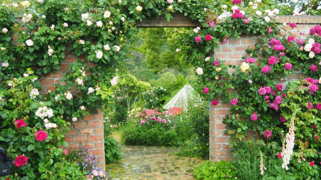 絶景とバラにうっとり
海を望むローズガーデン / 1