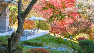 施設内の設備 / 9