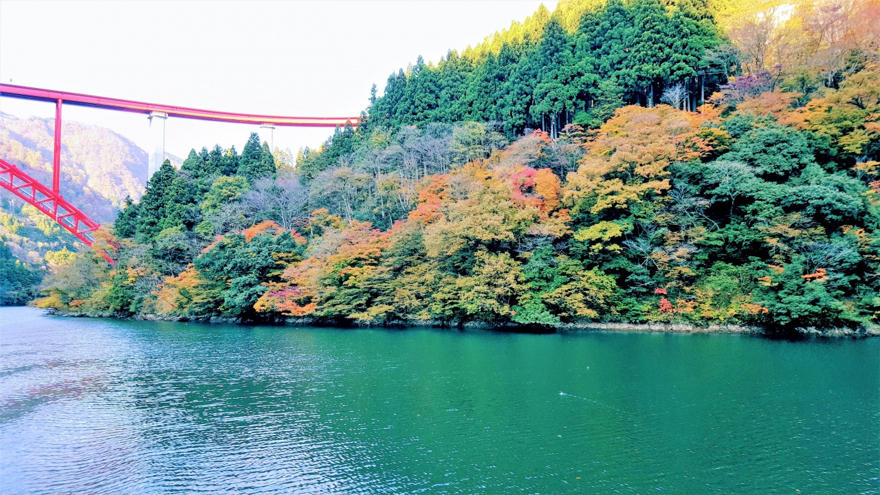 お宿へ向かう庄川峡遊覧船からの絶景