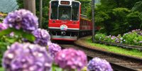 箱根登山電車で巡る♪おいしいスイーツ＆カフェ6選