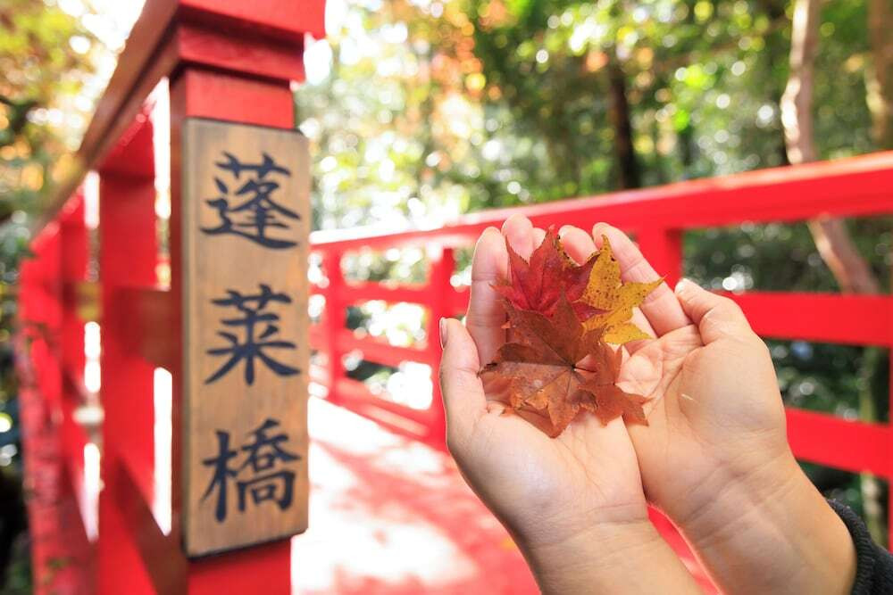 庭園