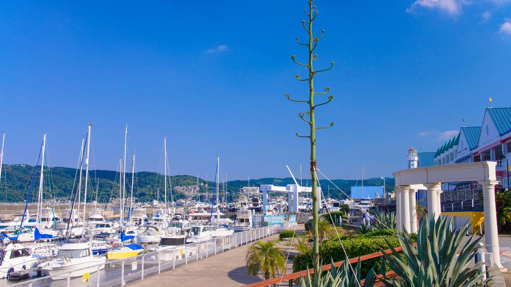海景に癒される
ドライブ旅に出発 / 2