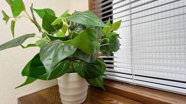 内部エントランス / 4