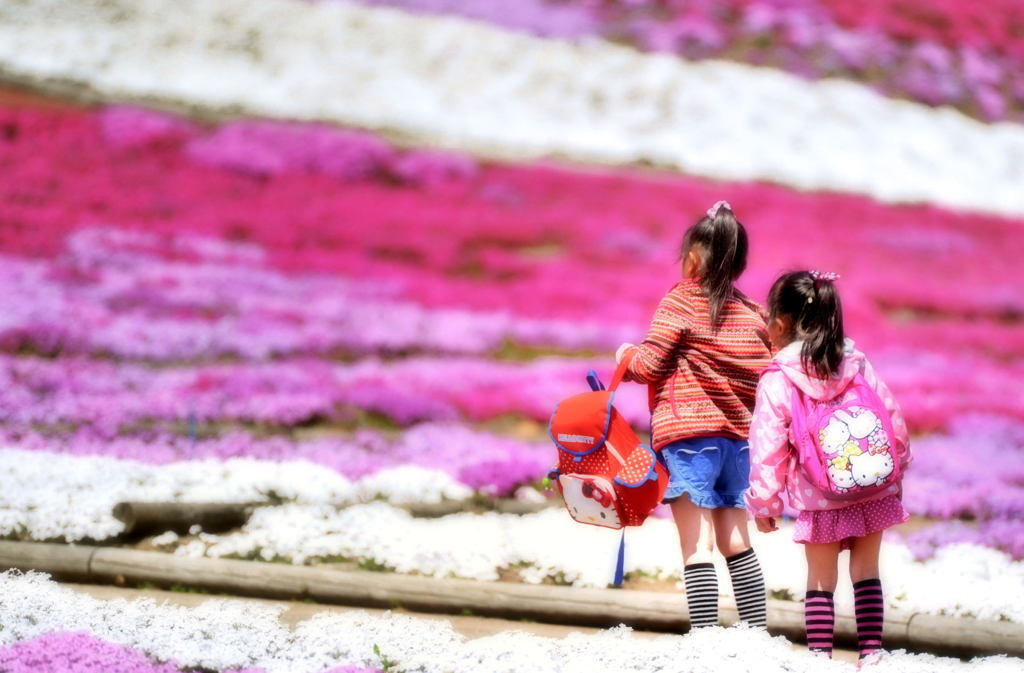アスレチックで遊ぶ女子小学生 (6歳)