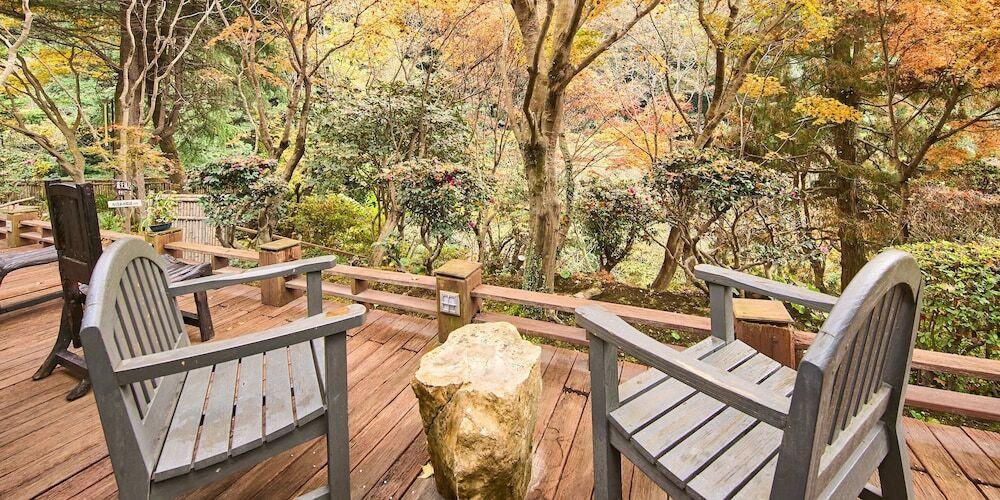 テラス / パティオ