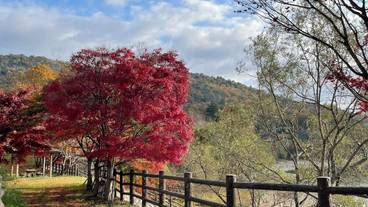 施設からの眺望 / 28