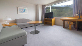 プレミアム ルーム ベッド (複数台)