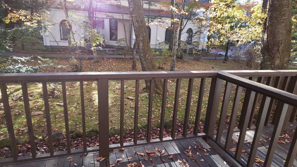 敷地内の紅葉 / 4