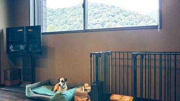 ペット同伴可 / 6