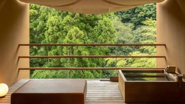 金乃竹 塔ノ澤(キンノタケ トウノサワ) / 12