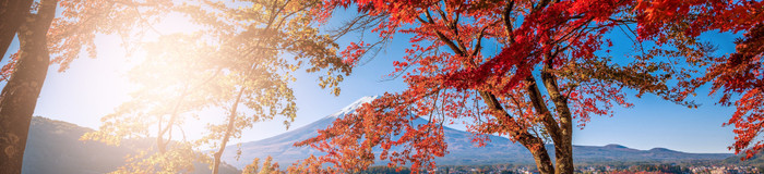【河口湖】カップルにおすすめ♡「露天風呂付き客室」のある温泉旅館・ホテル12選